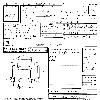 Inspection Sheet